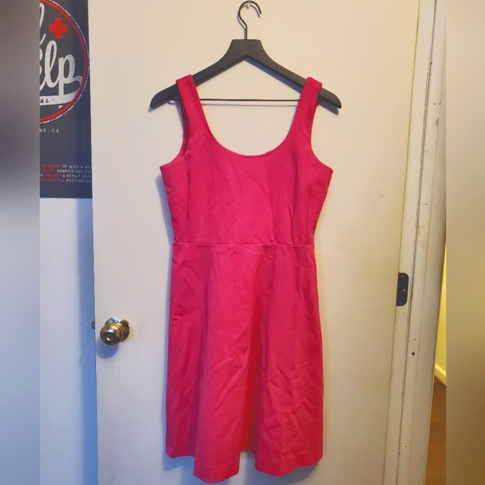 J.Crew Pink Dress